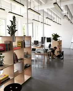 a man sitting at a desk in an office with bookshelves and plants on the shelves