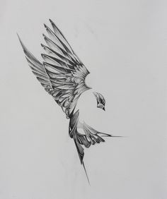 a drawing of a bird flying in the sky