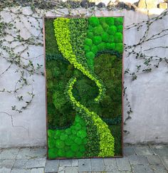 a green wall with moss growing on it