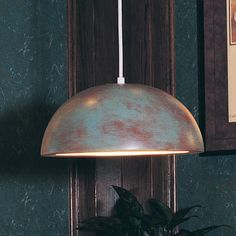 a potted plant sitting on top of a wooden table next to a wall mounted light