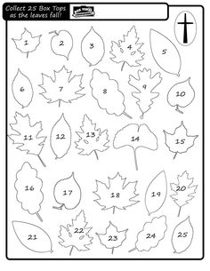 the worksheet is filled with leaves and numbers