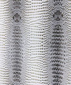 an image of white and black snake skin