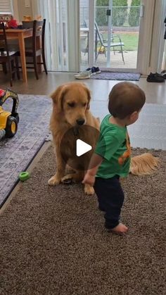 a little boy standing next to a brown dog on top of a carpeted floor