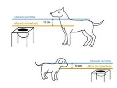 the diagram shows how to measure your dog's height