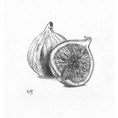 a pencil drawing of an orange and a piece of fruit on a white paper background