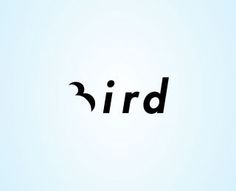 the word bird is written in black on a light blue background