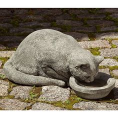 a statue of a cat drinking out of a bowl on cobblestone walkways