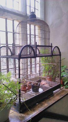 a birdcage with plants in it sitting on top of a table