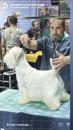 a white dog being groomed by a man at a pet store while people look on