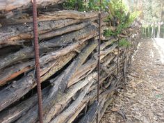 a pile of logs sitting next to a forest