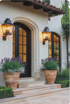 two potted plants are sitting on the steps in front of a house with large windows