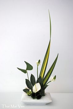 a white and green flower arrangement in a square vase