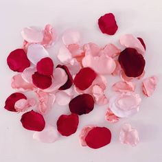 some pink and red petals on a white surface