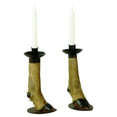 a pair of candles that are on top of a dog's paw and feet