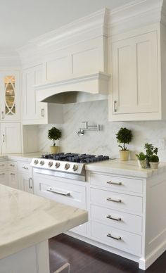 a kitchen with white cabinets and marble counter tops, an island in the middle has potted plants on it