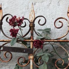 Beautiful Gates, Lizzie Hearts, Pretty Pictures, Mood Boards, Aesthetic Pictures, Fence, Image Search, Mood Board, Fairy Tales