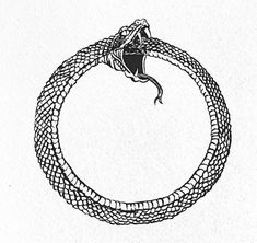 a drawing of a snake wrapped around a circle