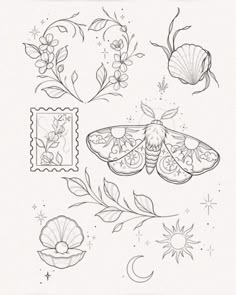 a drawing of some flowers and moths