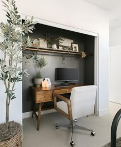 a desk with a computer on top of it next to a potted olive tree