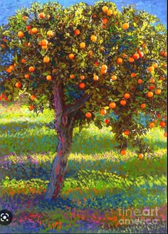 an orange tree in the middle of a field with blue sky and clouds behind it