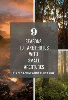 trees and water with the text 9 reasons to take photos with small adventures