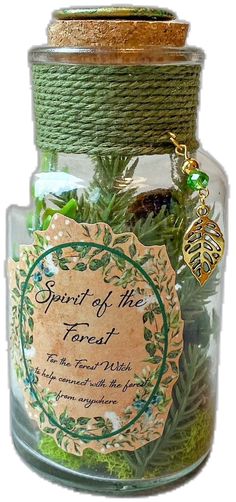 Fairy Potion Bottles, Magical Forest Decor, Witchy Decor Aesthetic, Potion Bottles Diy, Wizard Crafts, Potions Aesthetic, Forest Magical, Spirit Of The Forest, Halloween Potion Bottles