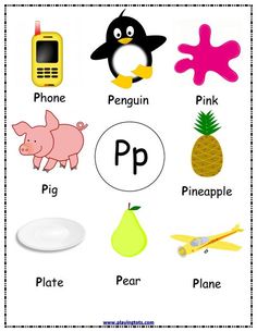 the letter p is for penguin, pig, pineapple, pear, and phone