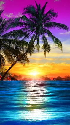 the sun is setting over the ocean and palm trees are silhouetted against the colorful sky