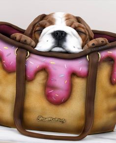 a brown and white dog laying in a doughnut bag