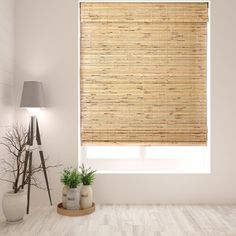 an empty room with a bamboo blinds in the window and potted plants on the floor