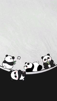 three pandas are sitting in the water and one is holding a green plant with its paws