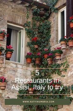 flowers growing on the side of a building with text overlay reading 5 restaurants in assi, italy to try