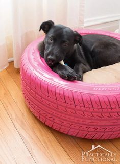 a black dog laying in a pink tire bed