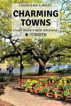 charming towns that aren't new orleans in the south with text overlaying