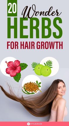 Discover the Secret Top 5 Foods for Hair Loss 2024/2025 - Fashion Tips Tricks Healthy Snaks, Herbs For Hair Growth, Lose Stomach, Herbs For Hair, Hair Growth Foods, Belly Diet, Ayurvedic Healing, Fitness Pal, Hair Growth Supplement