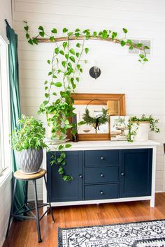 a living room with plants and a mirror on the wall