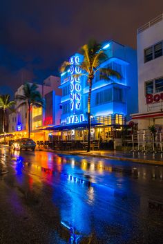 a city street at night with cars parked on the side and palm trees in the rain