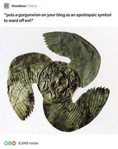 an image of a bird with wings on it's head and the caption reads,