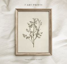 an image of a plant in a frame on a white sheet with text that reads, 7 art prints