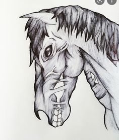 a drawing of a horse's head with its mouth open and teeth exposed, on a sheet of paper