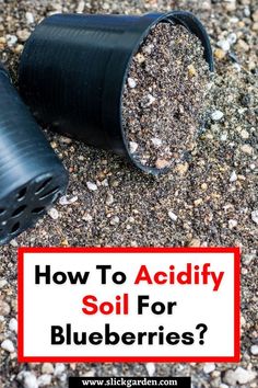 a black bucket filled with dirt and gravel next to a red sign that says, how to acidify soil for blueberries?