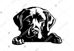 a black and white silhouette of a dog with his paw on the ground, looking out from