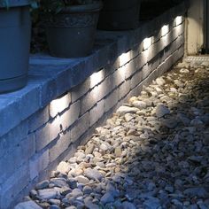 some plants are growing on the side of a building with lights shining down from them