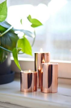 three copper colored candles sitting on top of a table next to a potted plant