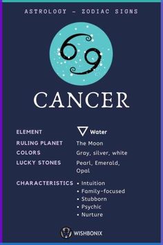 The Sun Sign also known as the Zodiac Sign is Moon Zodiac Signs, Zodiac Signs Elements, Health And Fitness Magazine, Zodiac Signs Astrology, Sun Sign, Good Health Tips, Birth Chart, Life Path, Astrology Zodiac