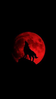 a wolf silhouetted against the red moon