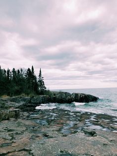 a rocky shore with trees and water in the background