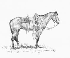 a drawing of a horse with a saddle on its back