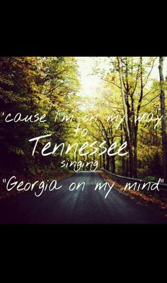 a road with trees and the words, cause i'm going down tennessee