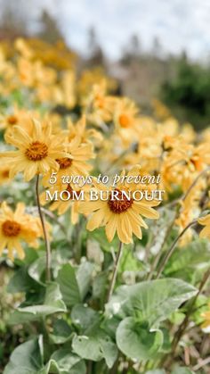 yellow flowers with the words 5 ways to present mom burnout on it in front of them